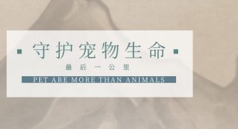 【加盟故事】李文涛：守护宠物生命的最后一公里