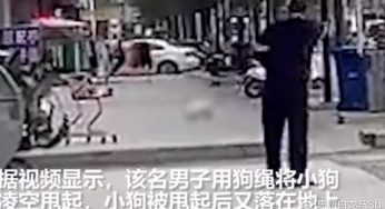 一男子当街虐狗，用狗绳将小狗凌空甩起，小狗落地时惨叫不已