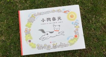 动物有灵，爱它，就带它回家，别轻言放弃