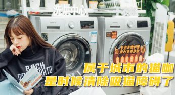 属于城市的猫咖，是时候清除吸猫障碍了！