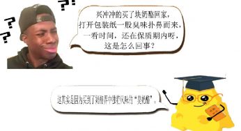 奶酪猎奇 I 臭味奶酪大比拼