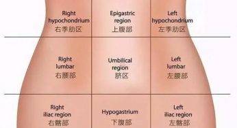 肚子怎么瘦？4个原因，2个方法，瘦肚子原来那么简单！