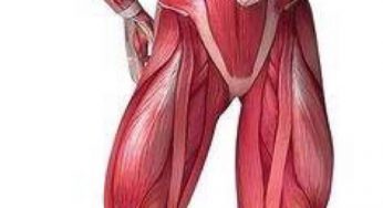 偏瘫患者下肢肌肉力量训练