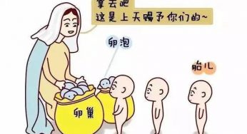 吃什么能提高女性卵子质量呢？