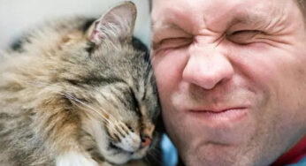 猫咪为什么更喜欢男生？因为男生能做到这一点，女生做不到