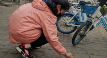 公园特殊的公共厕所，原来不是给人用的